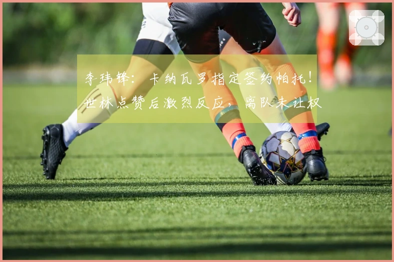 李玮锋：卡纳瓦罗指定签约帕托！世林点赞后激烈反应，离队未让权健承受损失