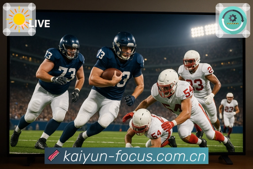 入口置顶与分类